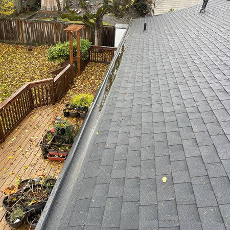 Roof Cleaning Cost in Seattle: What Impacts Pricing (and What to Avoid)
