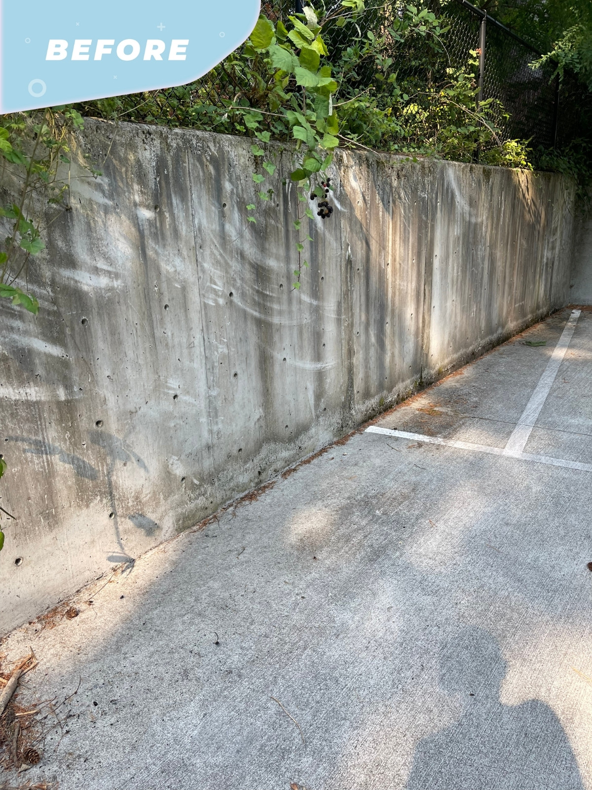 Concrete Retaining Wall Pressure Washing in Shoreline, WA – Clean & Smart Power Washing Company