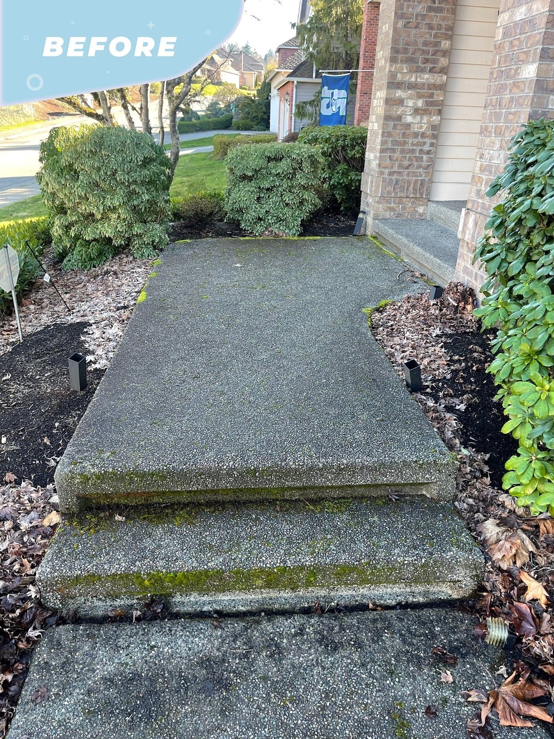 Driveway and Sidewalk Pressure Washing in Sammamish, WA – Clean & Smart Power Washing