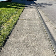 Driveway-and-Sidewalk-Pressure-Washing-in-Sammamish-WA-Clean-Smart-Power-Washing 4