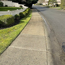Driveway-and-Sidewalk-Pressure-Washing-in-Sammamish-WA-Clean-Smart-Power-Washing 5