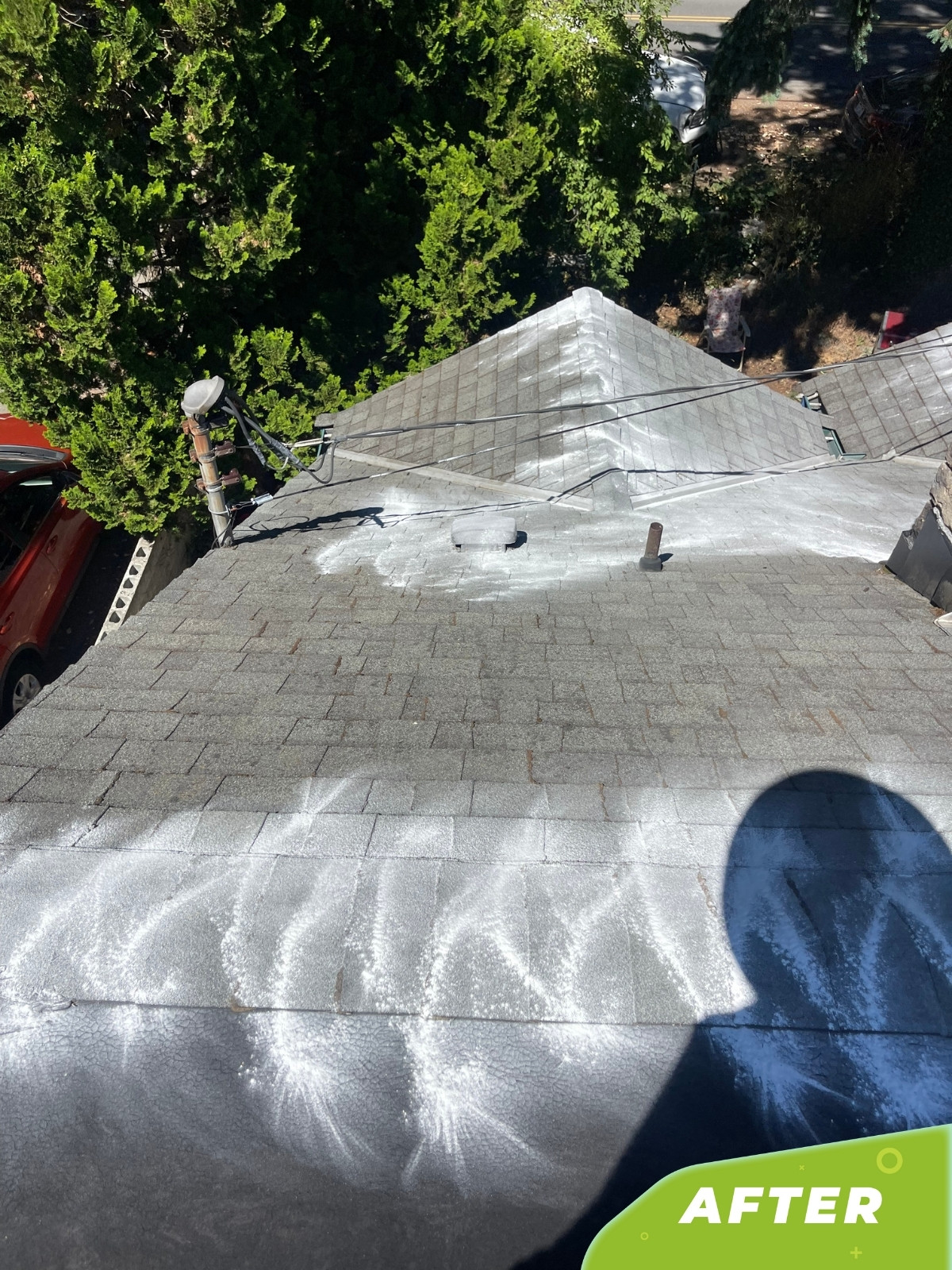 Expert Roof & Gutter Cleaning Service in Lake Forest Park